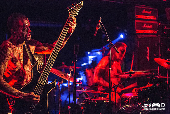 Naðra in concert