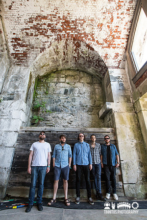 Frightenend Rabbit