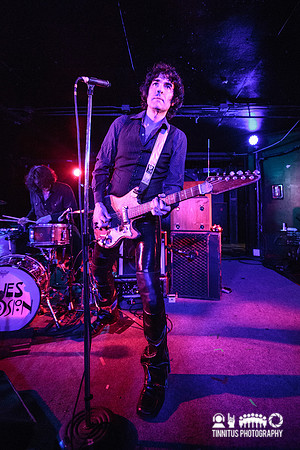Jon Spencer Blues Explosion in concert