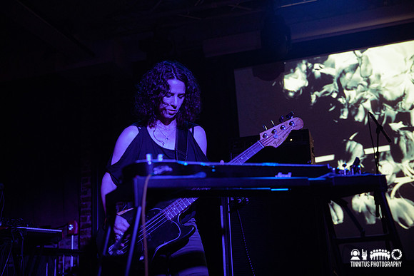 Insect Ark in concert