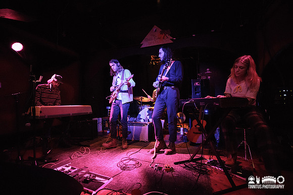 John Andrews & The Yawns in concert