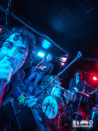 Jon Spencer Blues Explosion in concert