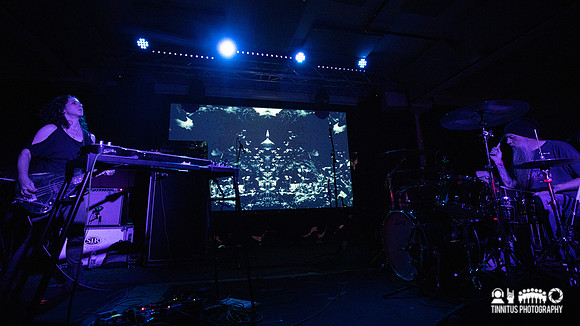 Insect Ark in concert