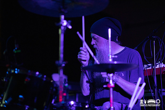 Insect Ark in concert