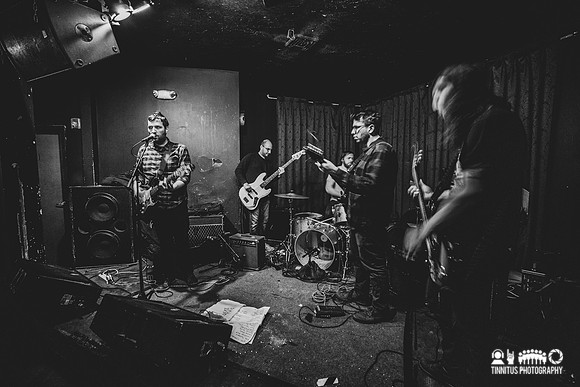 Honey Radar in concert