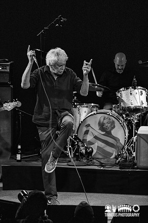 Guided By Voices in concert