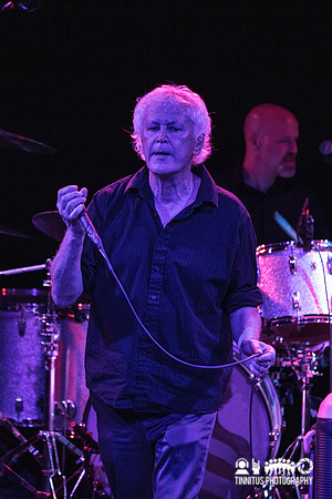 Guided By Voices in concert