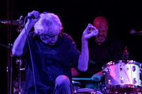 Guided By Voices in concert