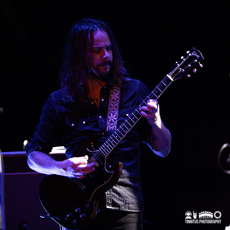 Graveyard in concert