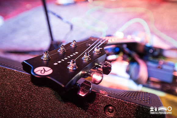 Gozu in concert