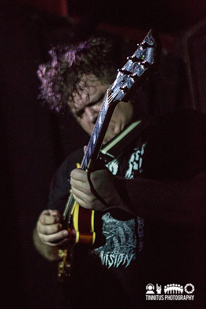 Gozu in concert