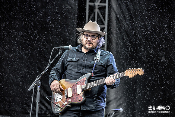 Tweedy in concert
