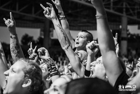 Five Finger Death Punch in concert