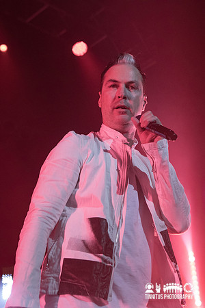 Fitz and the Tantrums in concert