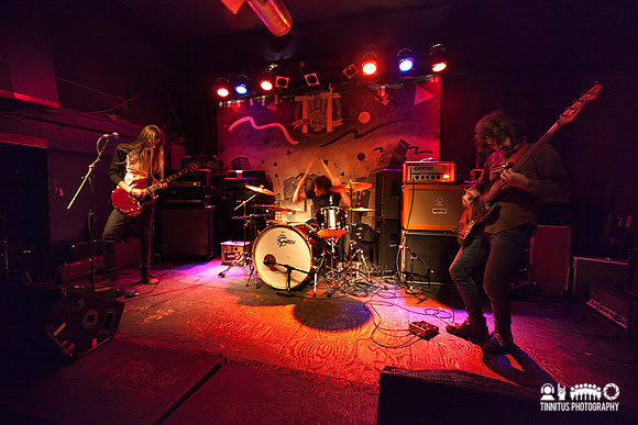 Elder in concert