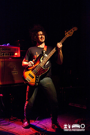Elder in concert