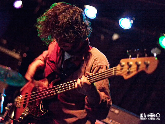 Elder in concert