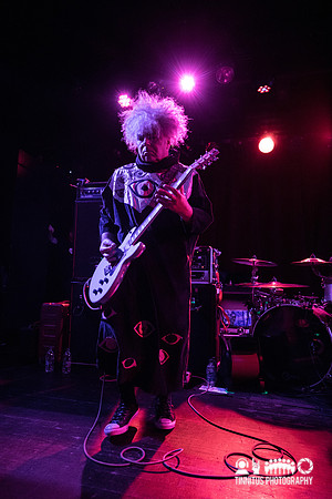 Melvins in concert