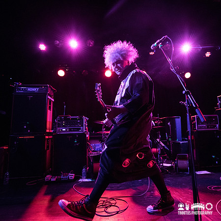 Melvins in concert