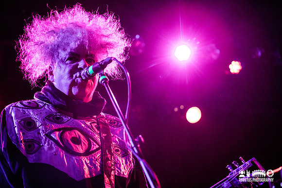 Melvins in concert