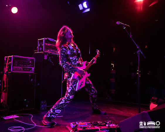 Melvins in concert