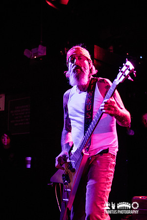 Melvins in concert