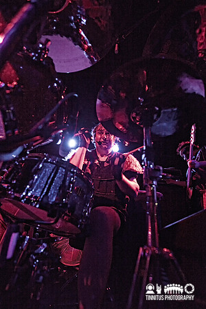 Melvins in concert