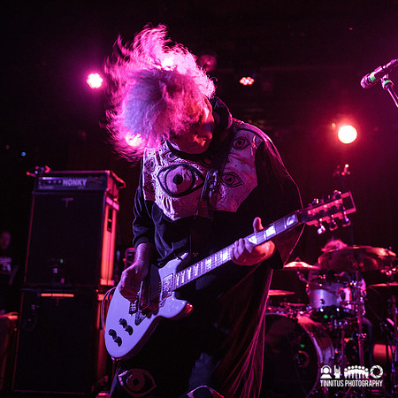 Melvins in concert