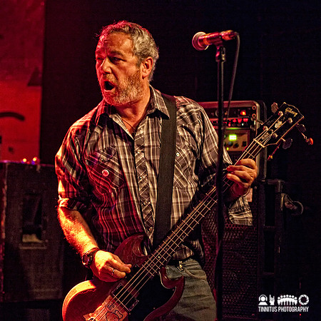 Mike Watt and the Missingmen in concert