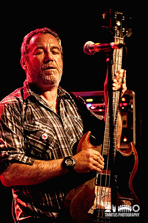Mike Watt and the Missingmen in concert