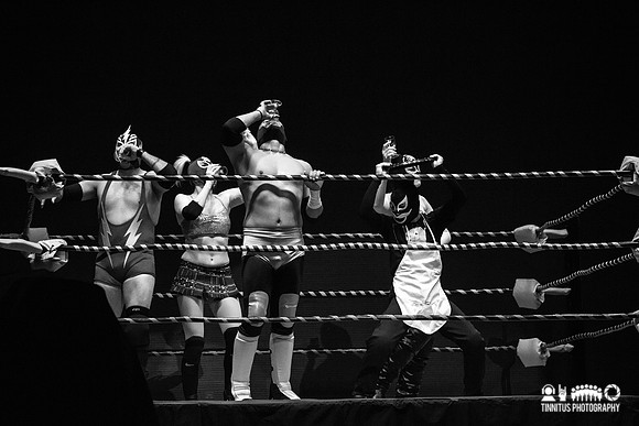 Luchafer in concert