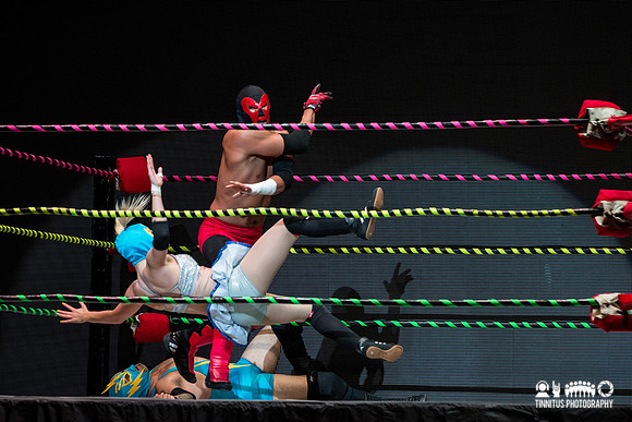 Luchafer in concert