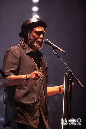 Massive Attack in concert