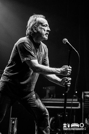 The Jesus Lizard in concert