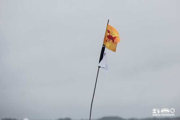 Newport Folk Festival