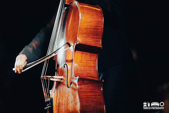 Helen Money in concert