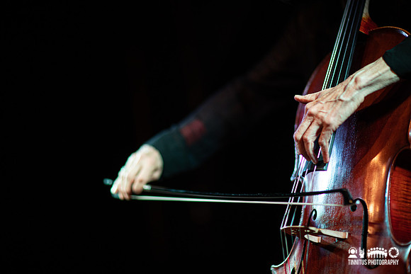 Helen Money in concert