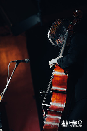Helen Money in concert