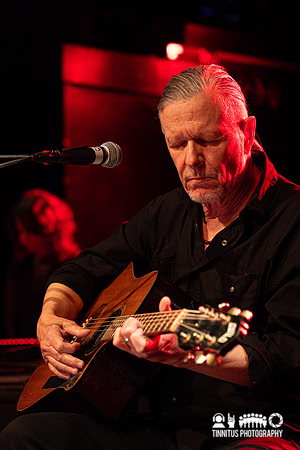 Swans in concert