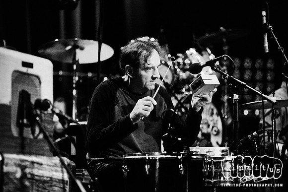 The Feelies in concert