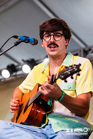 Goose in concert