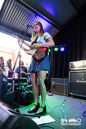 Itchy and the Nits in concert