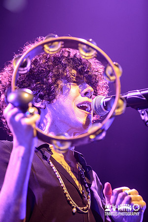 LP in concert