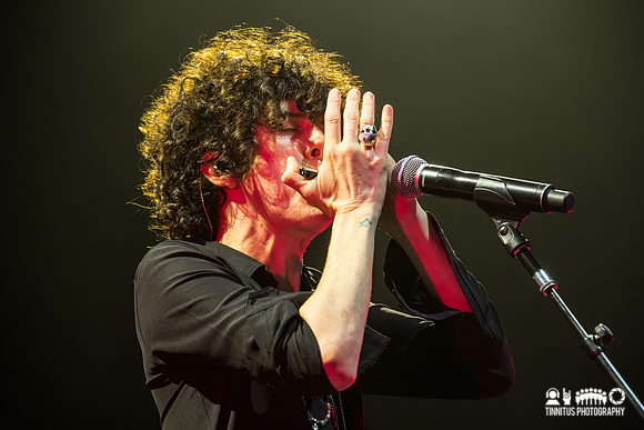 LP in concert