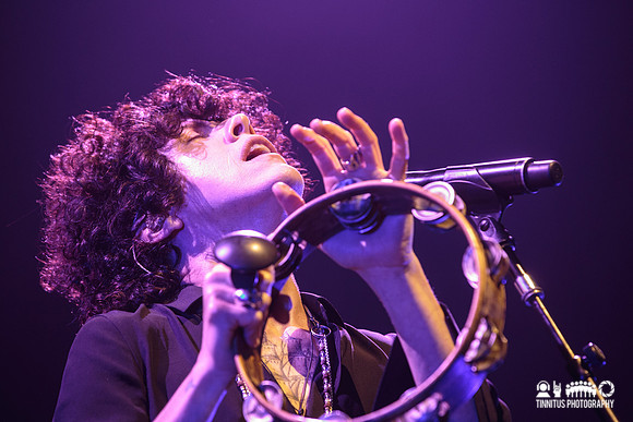 LP in concert