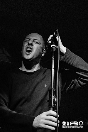 Kings Destroy in concert