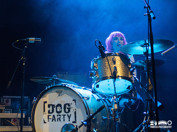 Dog Party in concert