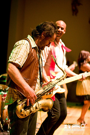 Dengue Fever in concert