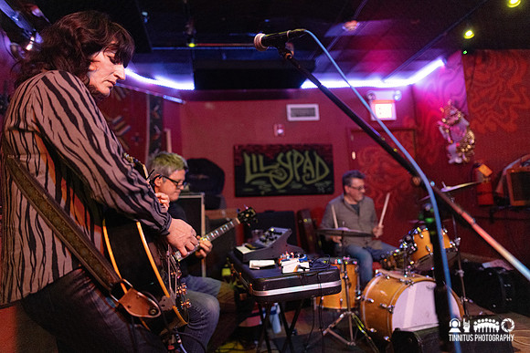 Daughter of the Vine in concert