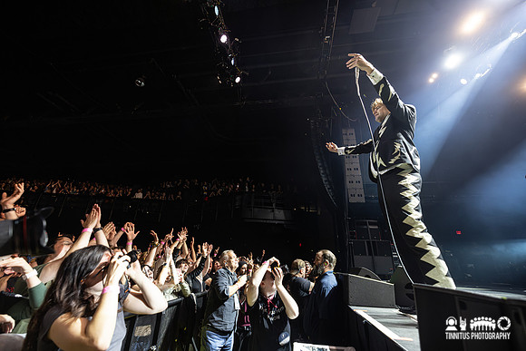 The Hives in concert